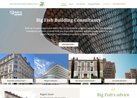 Big Fish Building Consultancy Website
