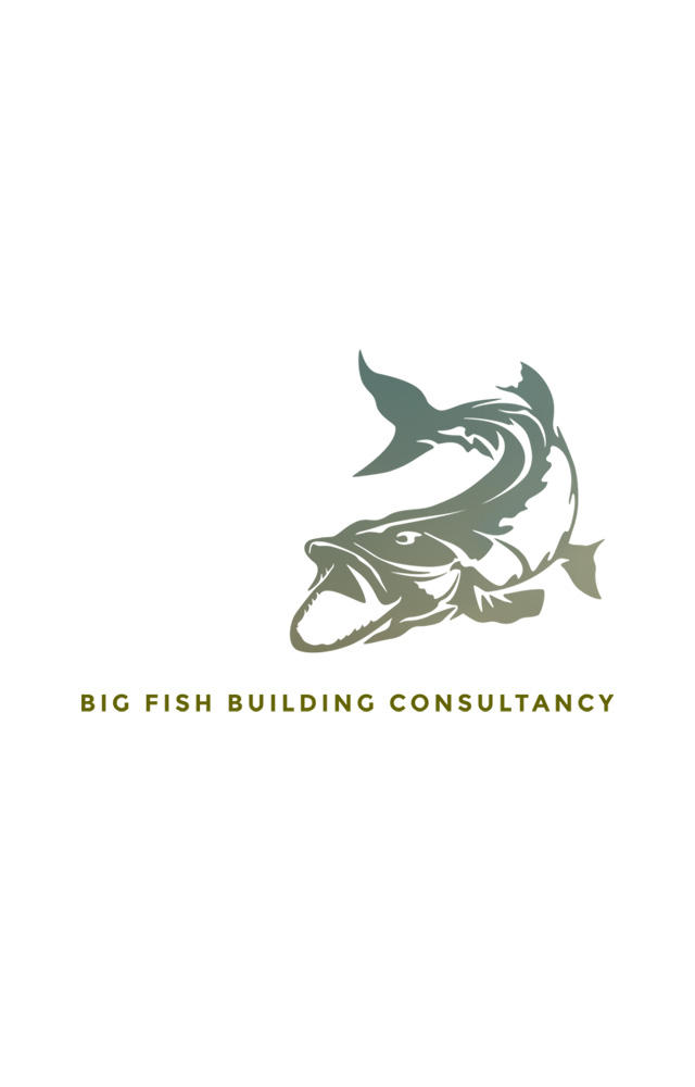 BFBC logo and branding, for Big Fish Building Consultancy Ltd